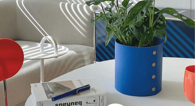 싱그러움 가득한 집(리빙 기획전)